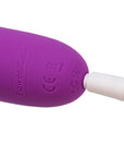 DESTINY Rechargeable Wand Massager