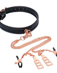 Punishment Rose Gold Choker & Nipple Clamps