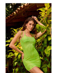 Candyland Crystal Mesh Contour Dress