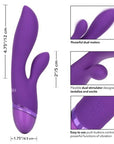 Aura Dual Lover