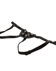 Her Royal Harness The Countess