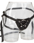 Her Royal Harness The Countess