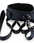 Kink Curious Collar and Leash Set