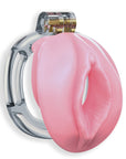 Kink Chastity Series Sissy Cock Cage Cage
