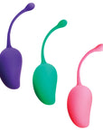 Sincerely Kegel Exercise System