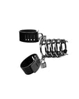 Gates of Hell Chastity Device