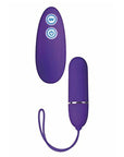 Posh 7 Function Lovers Remote