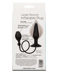 Large Silicone Inflatable Plug
