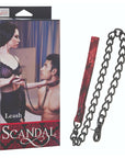Scandal Leash