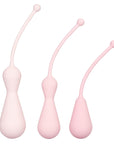 Inspire Weighted Silicone Kegel Training Kit