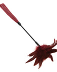 Enchanted Feather Tickler