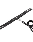SportSheet Leather Leash & Collar
