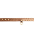 X-Play Darling Pet Collar With Leash Set