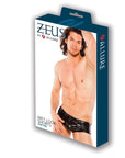 Zeus Wet Look Sexy Shorts