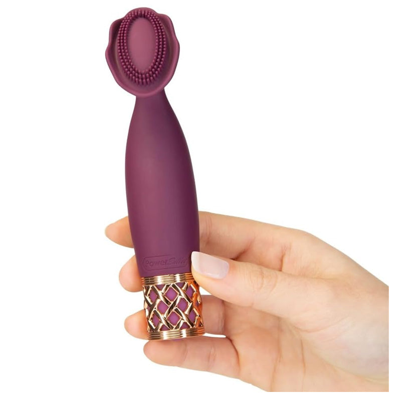 Pillow Talk Secrets Passion Massager