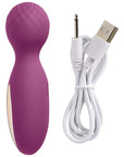 Cloud 9 Novelties Health & Wellness Flexi Rechargeable Wand