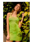 Candyland Crystal Mesh Contour Dress