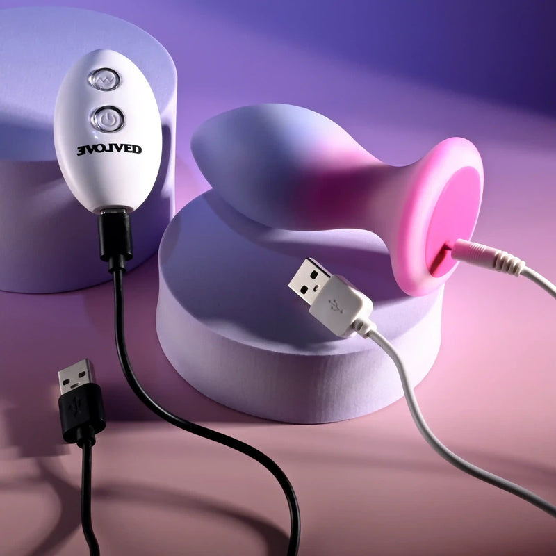 Evolved Novelties Paradise Plug Remote Controlled Vibrating Buttplug