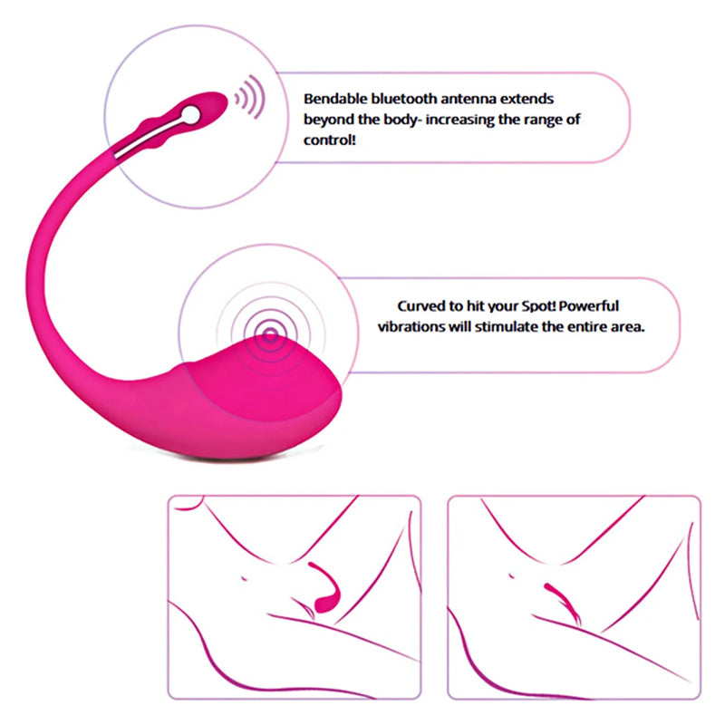 Lush Bluetooth Vibrator