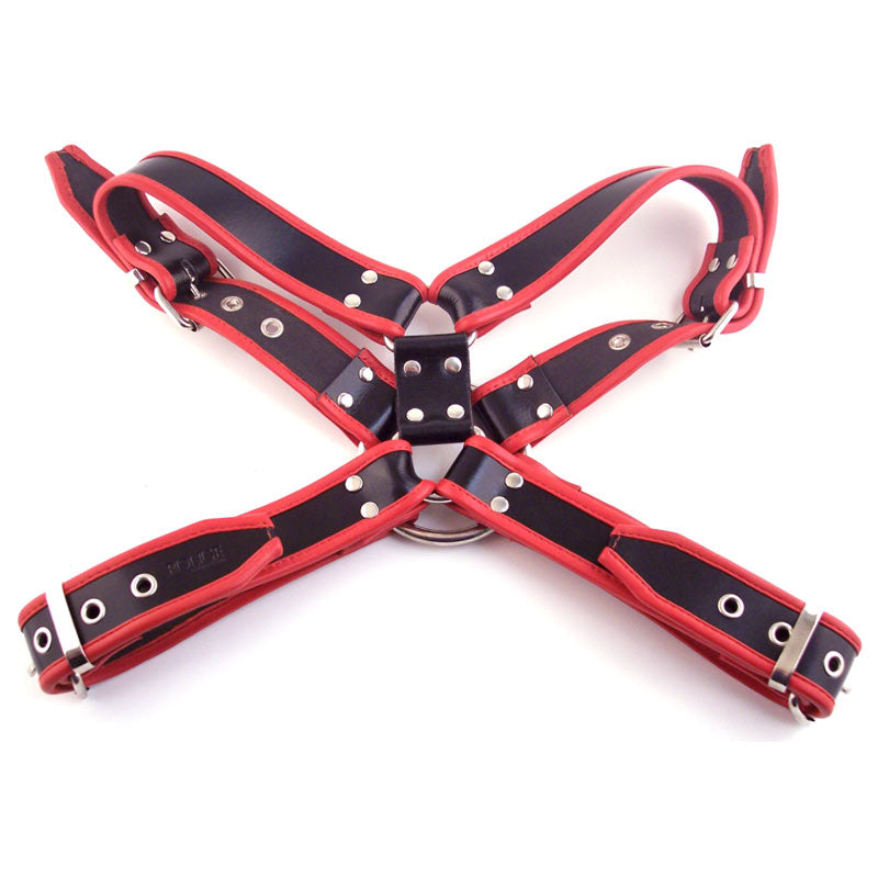 Rouge Garments Leather Deviant Harness