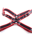 Rouge Garments Leather Deviant Harness