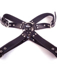 Rouge Garments Leather Deviant Harness