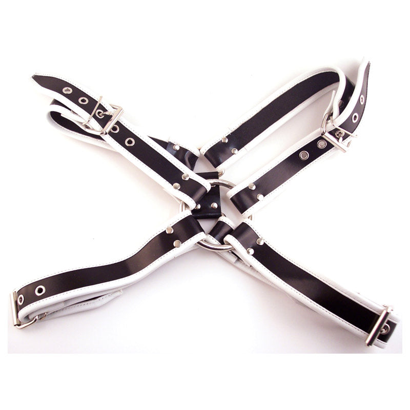 Rouge Garments Leather Deviant Harness