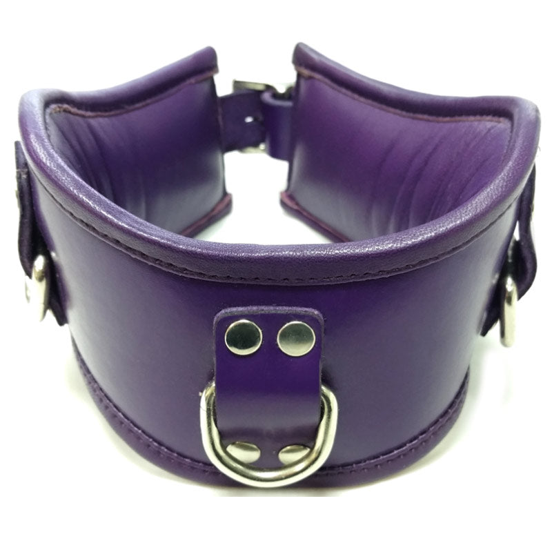 Rouge Garments Leather Padded Posture Collar with 3 D-Rings