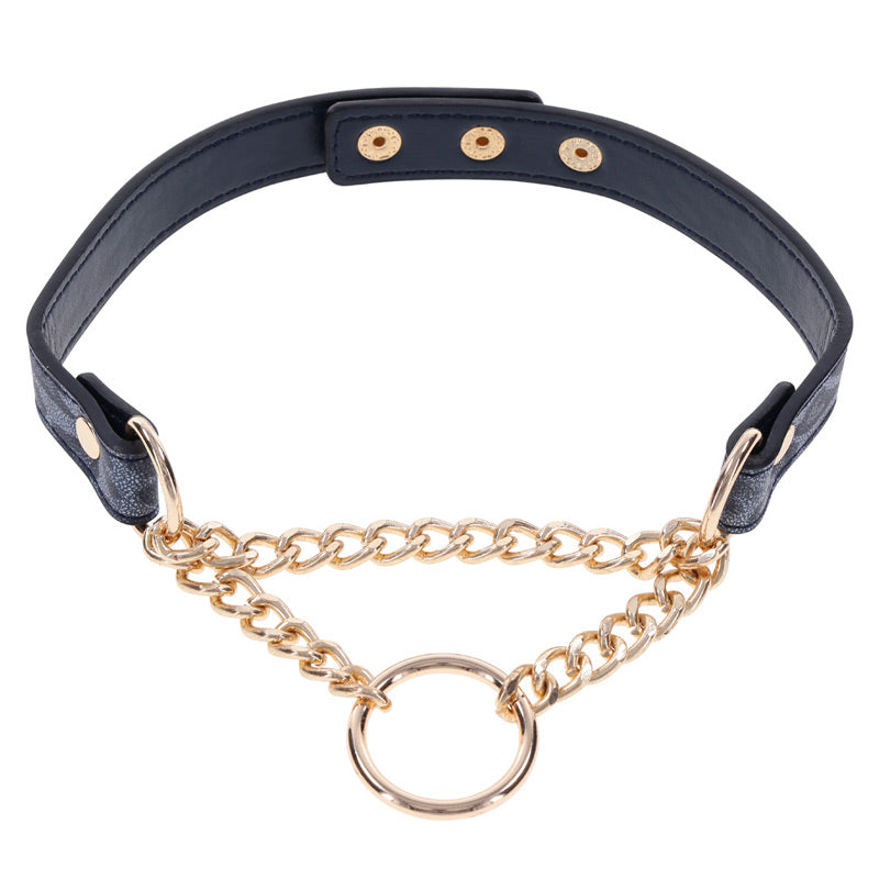 Cougar Day Collar