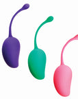 Sincerely Kegel Exercise System