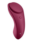Sexy Secret Panty Vibrator