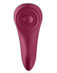 Sexy Secret Panty Vibrator