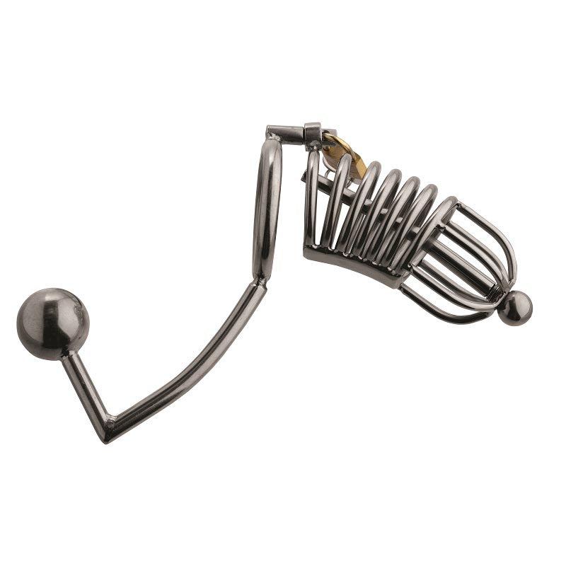 Condemned Penetration Cage with Anal Insertion