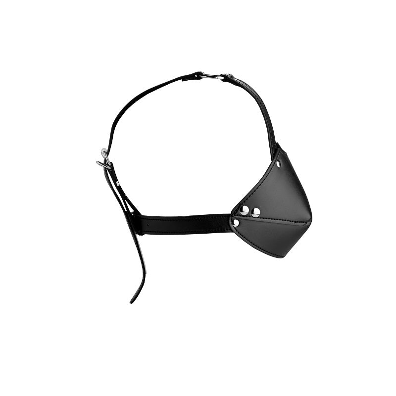Mouth Harness with Ball Gag