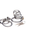 The Pen Deluxe Locking Chastity Cage