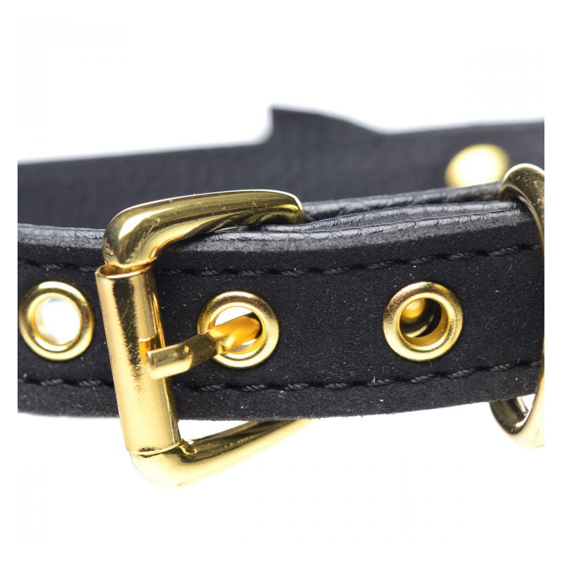 Golden Kitty Cat Bell Collar