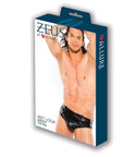 Zeus Wet Look Brief With Zipper