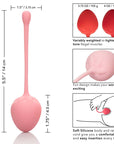 Kegel Training Set