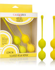 Kegel Training Set