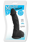 Mister Dildo