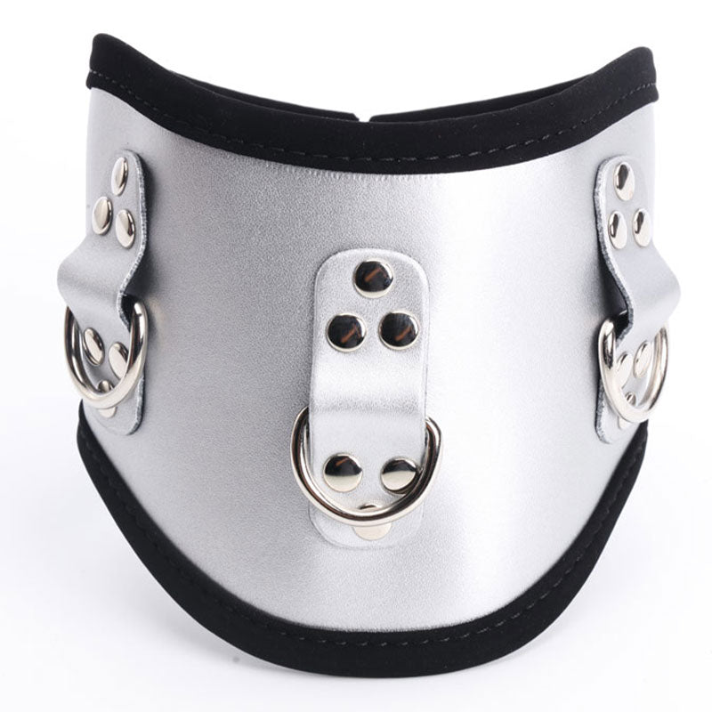 Posture Collar - Packed In Sealed Foil Bags