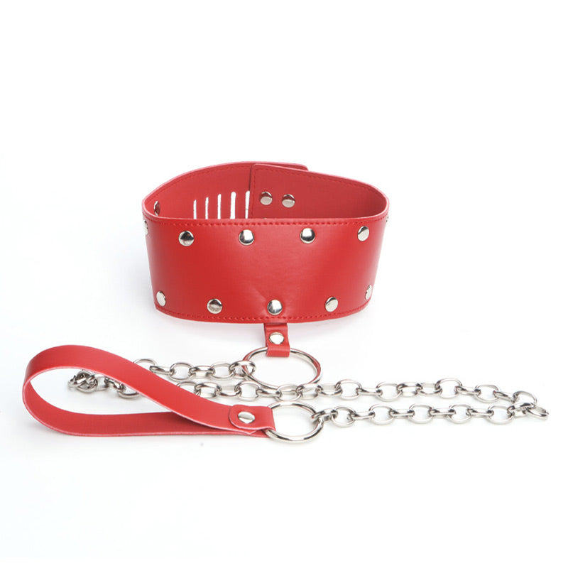 Bound Collar &amp; Leash - Packed In Sealed Foil Bags