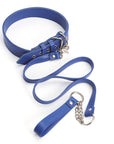 Back To Basics Collar & Leash - Packed In Sealed Foil Bags