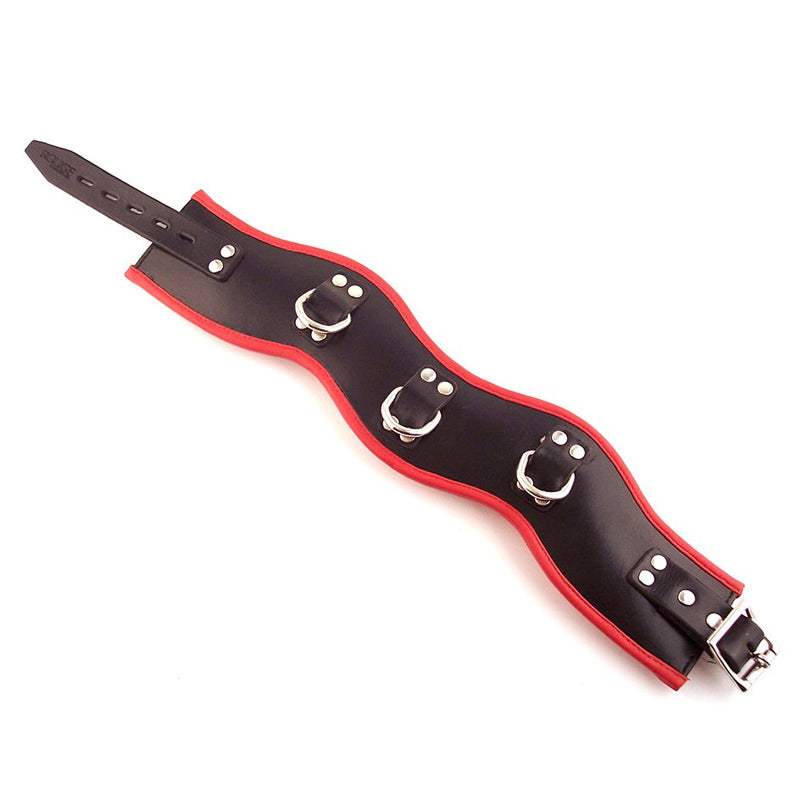 Rouge Posture Collar with 3 D-Rings