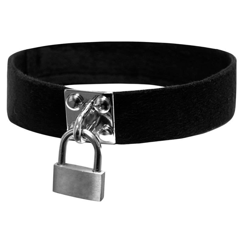 SportSheet Lock &amp; key collar